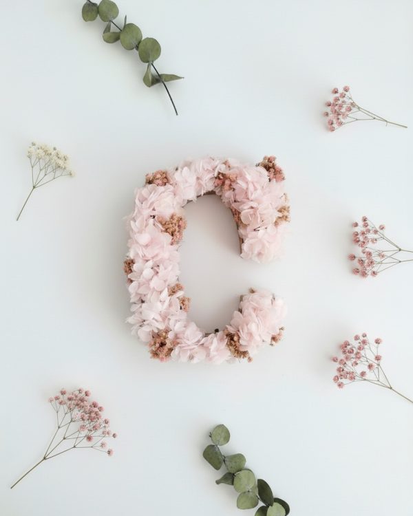 Letra hortensia preservada